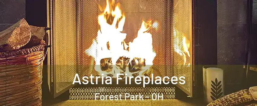  Astria Fireplaces Forest Park - OH