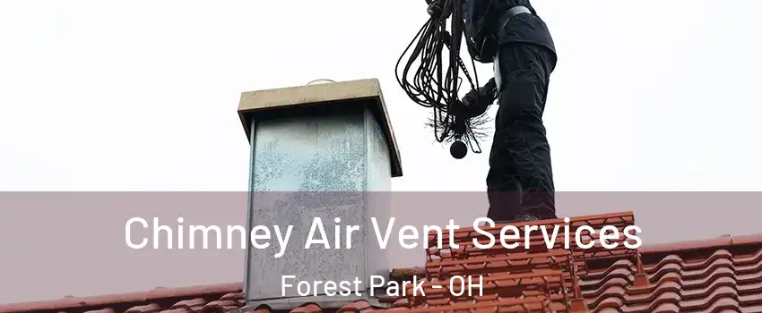  Chimney Air Vent Services Forest Park - OH