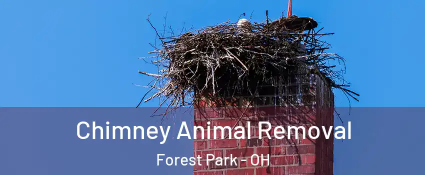  Chimney Animal Removal Forest Park - OH