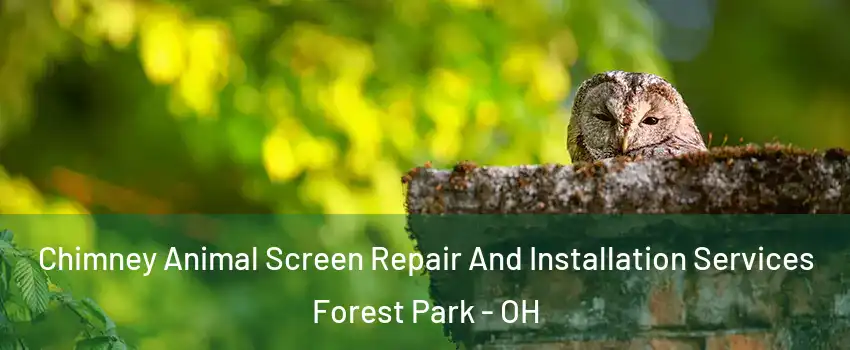  Chimney Animal Screen Repair And Installation Services Forest Park - OH