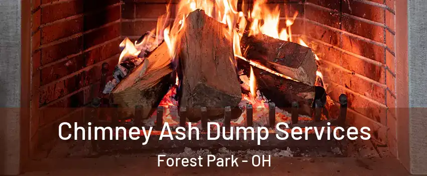  Chimney Ash Dump Services Forest Park - OH
