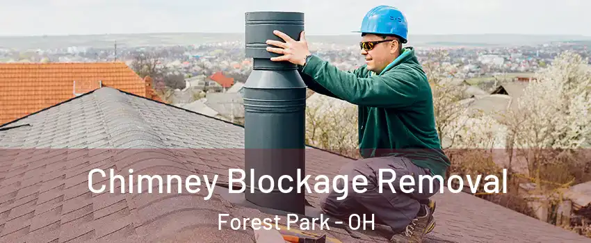  Chimney Blockage Removal Forest Park - OH