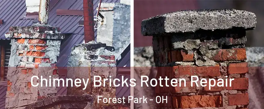  Chimney Bricks Rotten Repair Forest Park - OH