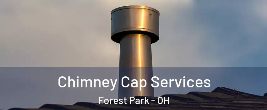  Chimney Cap Services Forest Park - OH