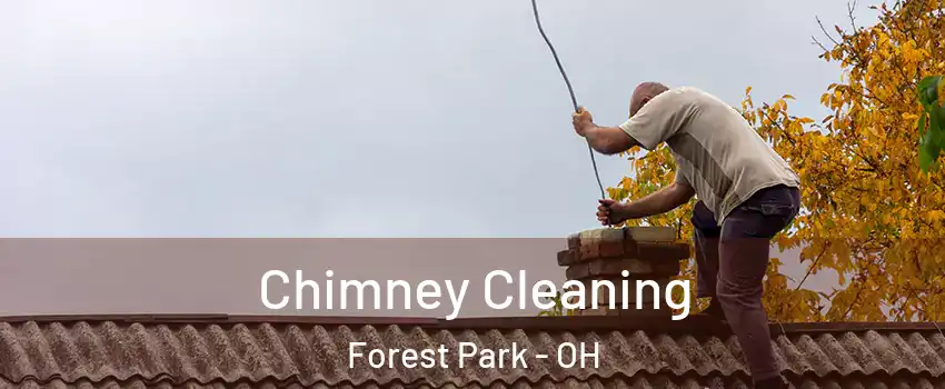  Chimney Cleaning Forest Park - OH