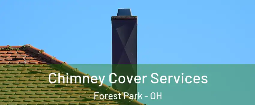  Chimney Cover Services Forest Park - OH