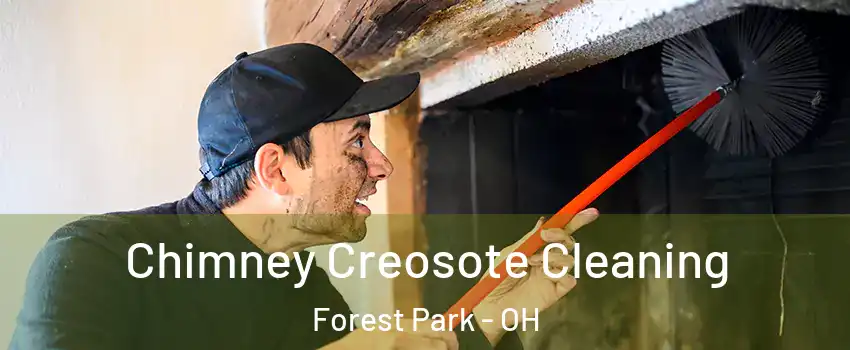  Chimney Creosote Cleaning Forest Park - OH