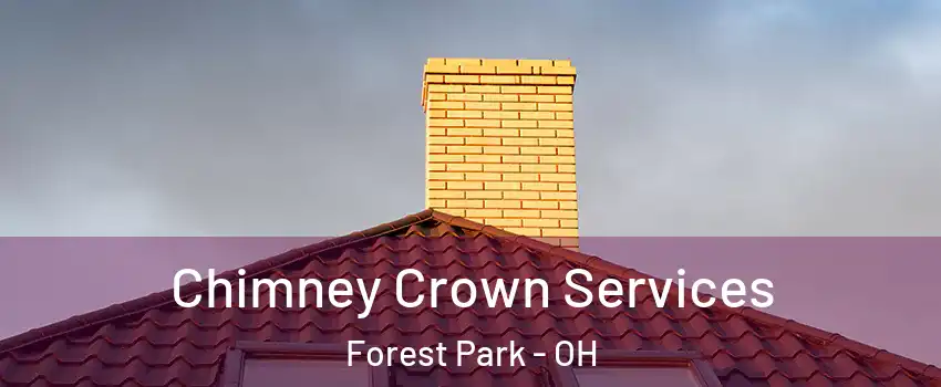  Chimney Crown Services Forest Park - OH