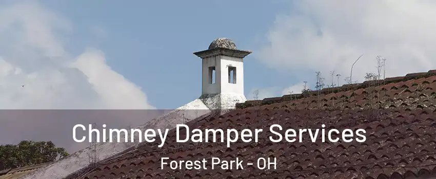  Chimney Damper Services Forest Park - OH