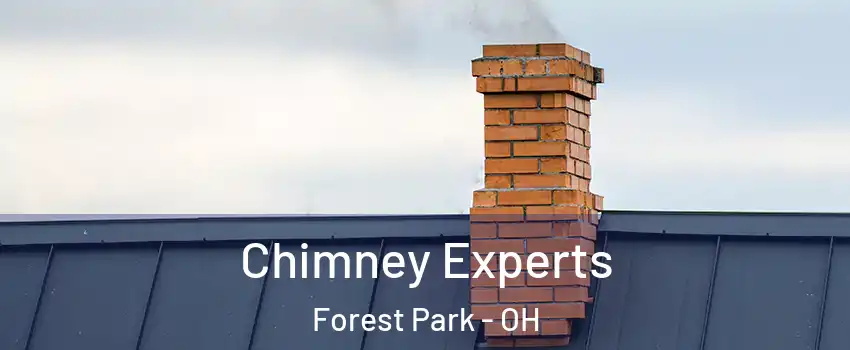  Chimney Experts Forest Park - OH