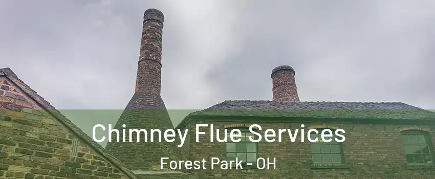  Chimney Flue Services Forest Park - OH