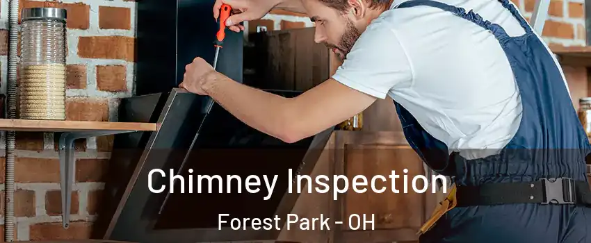  Chimney Inspection Forest Park - OH