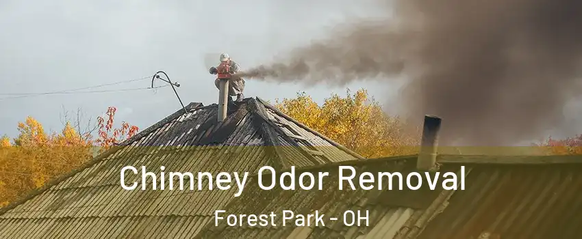  Chimney Odor Removal Forest Park - OH