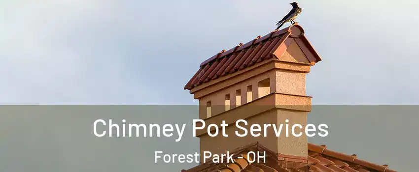  Chimney Pot Services Forest Park - OH