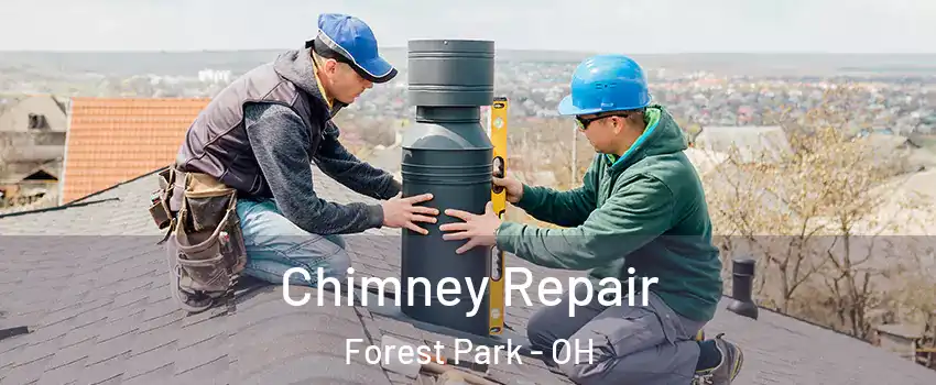  Chimney Repair Forest Park - OH