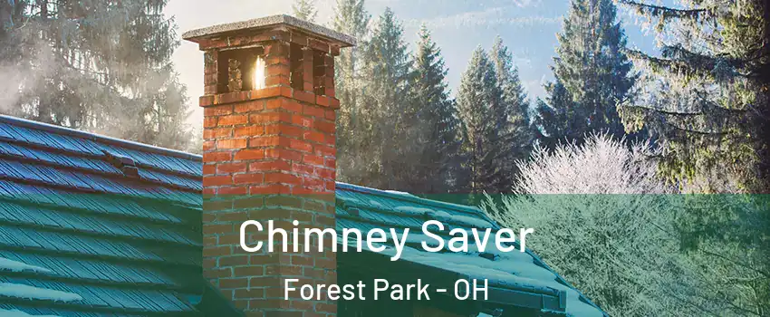  Chimney Saver Forest Park - OH