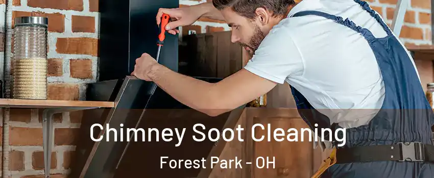  Chimney Soot Cleaning Forest Park - OH