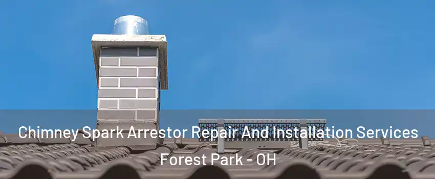  Chimney Spark Arrestor Repair And Installation Services Forest Park - OH
