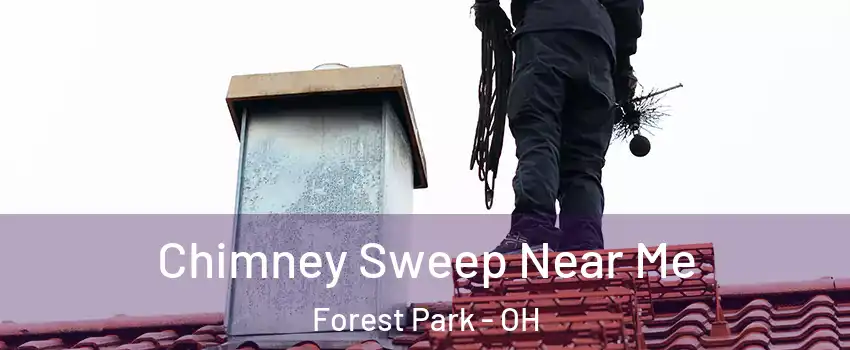  Chimney Sweep Near Me Forest Park - OH