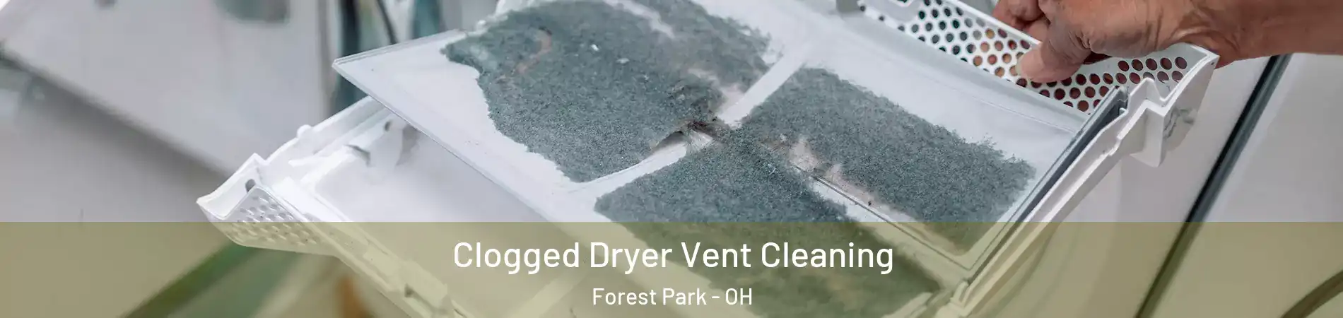  Clogged Dryer Vent Cleaning Forest Park - OH