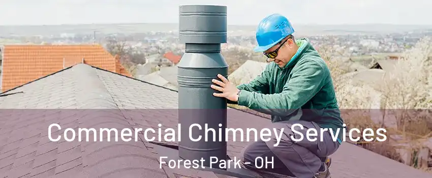  Commercial Chimney Services Forest Park - OH