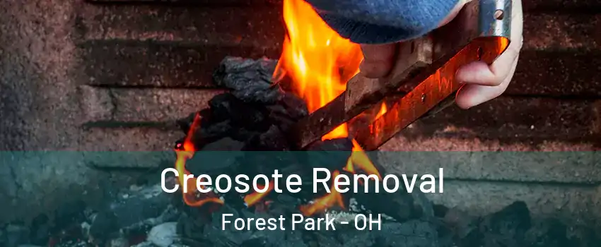  Creosote Removal Forest Park - OH