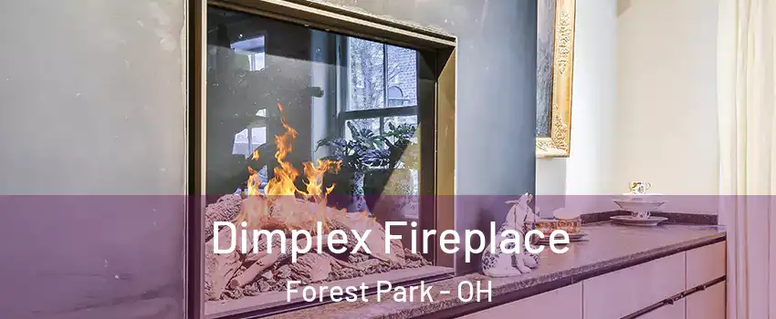  Dimplex Fireplace Forest Park - OH
