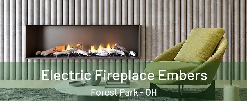  Electric Fireplace Embers Forest Park - OH