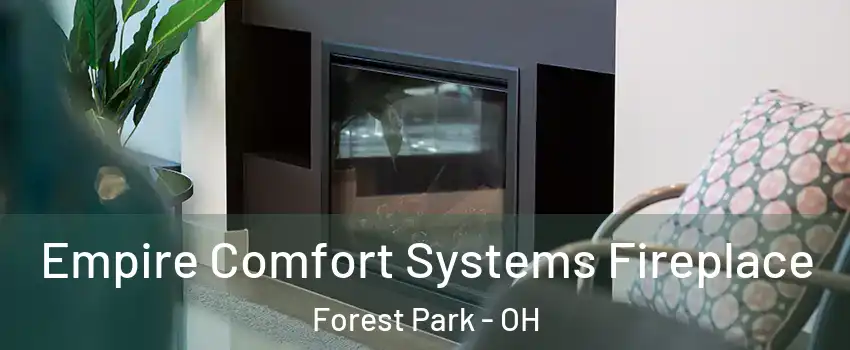  Empire Comfort Systems Fireplace Forest Park - OH