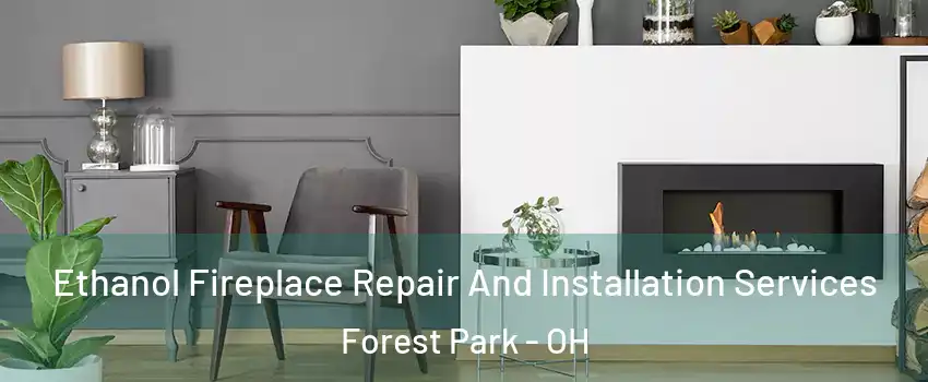  Ethanol Fireplace Repair And Installation Services Forest Park - OH
