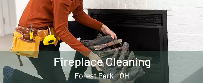  Fireplace Cleaning Forest Park - OH