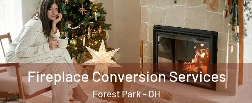  Fireplace Conversion Services Forest Park - OH
