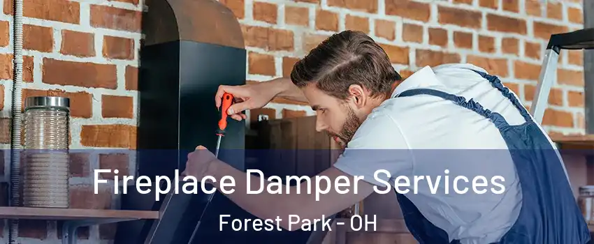  Fireplace Damper Services Forest Park - OH