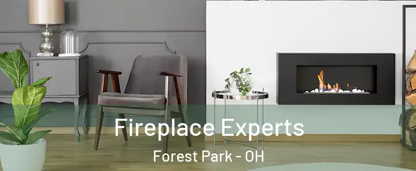  Fireplace Experts Forest Park - OH