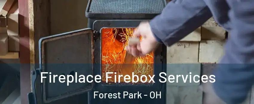  Fireplace Firebox Services Forest Park - OH