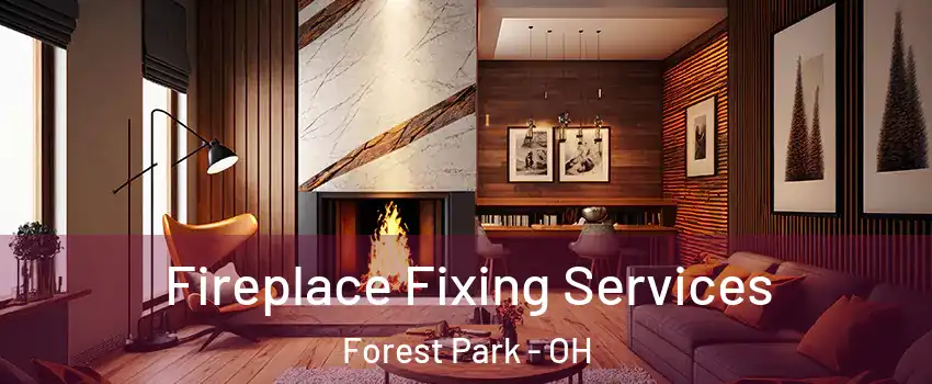  Fireplace Fixing Services Forest Park - OH