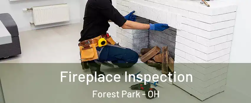  Fireplace Inspection Forest Park - OH