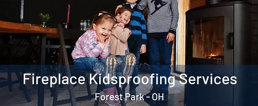  Fireplace Kidsproofing Services Forest Park - OH