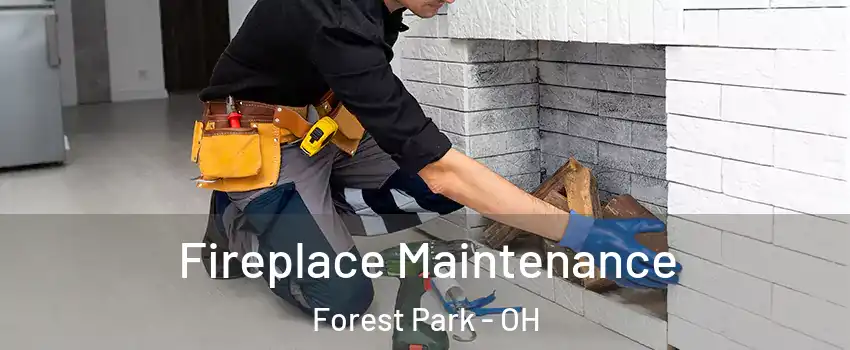  Fireplace Maintenance Forest Park - OH