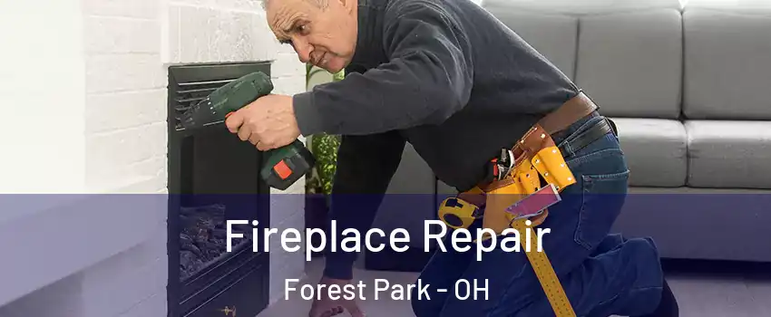  Fireplace Repair Forest Park - OH