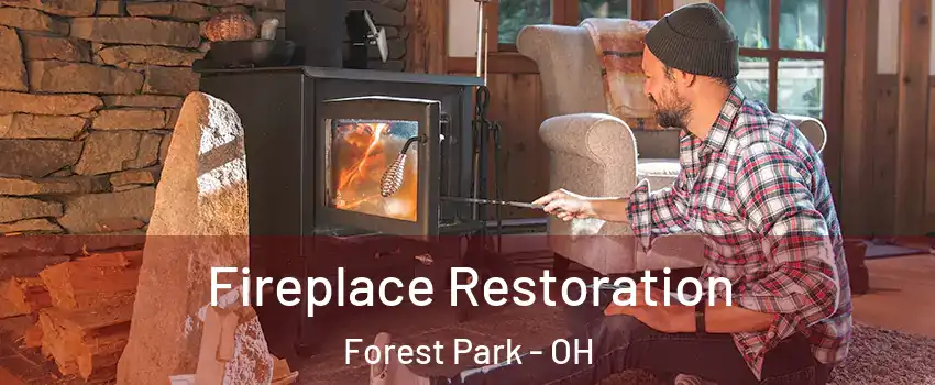  Fireplace Restoration Forest Park - OH