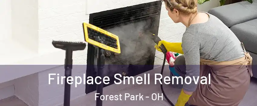  Fireplace Smell Removal Forest Park - OH