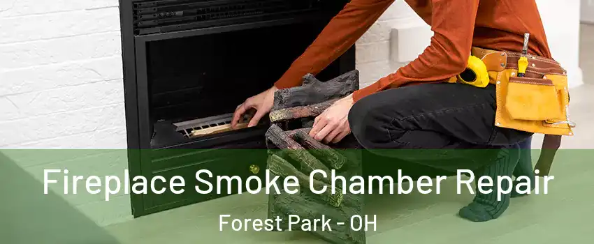  Fireplace Smoke Chamber Repair Forest Park - OH