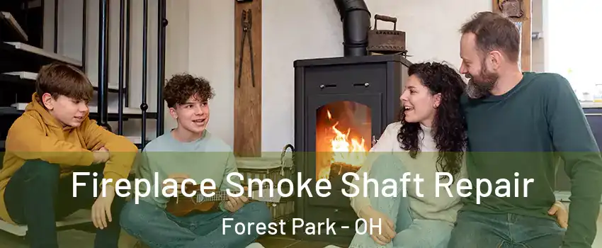  Fireplace Smoke Shaft Repair Forest Park - OH