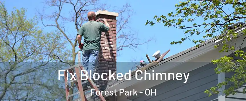  Fix Blocked Chimney Forest Park - OH