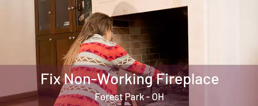  Fix Non-Working Fireplace Forest Park - OH