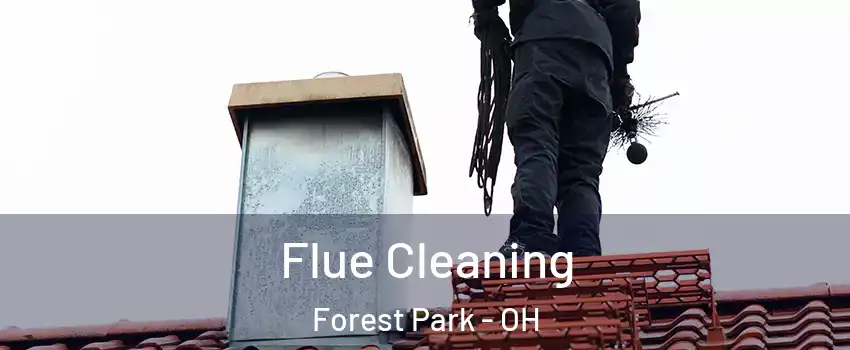  Flue Cleaning Forest Park - OH