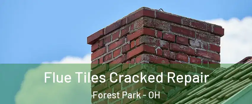  Flue Tiles Cracked Repair Forest Park - OH
