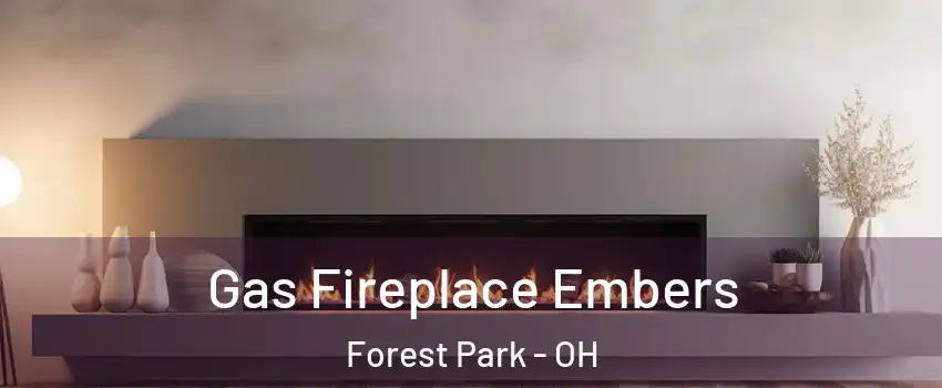  Gas Fireplace Embers Forest Park - OH