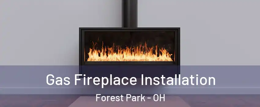  Gas Fireplace Installation Forest Park - OH